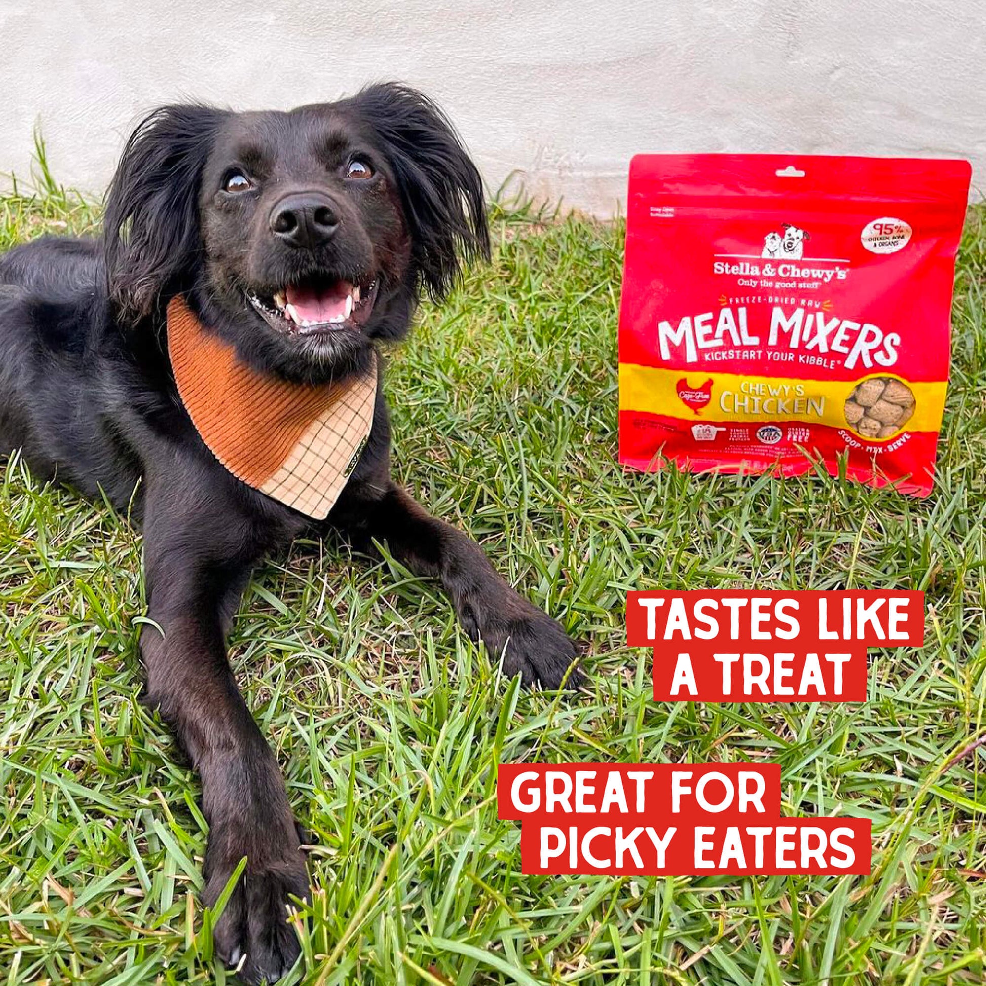 Freeze-Dried Raw Meal Mixers Chewy's Chicken | Tastes like a treat. Great for picky eaters.