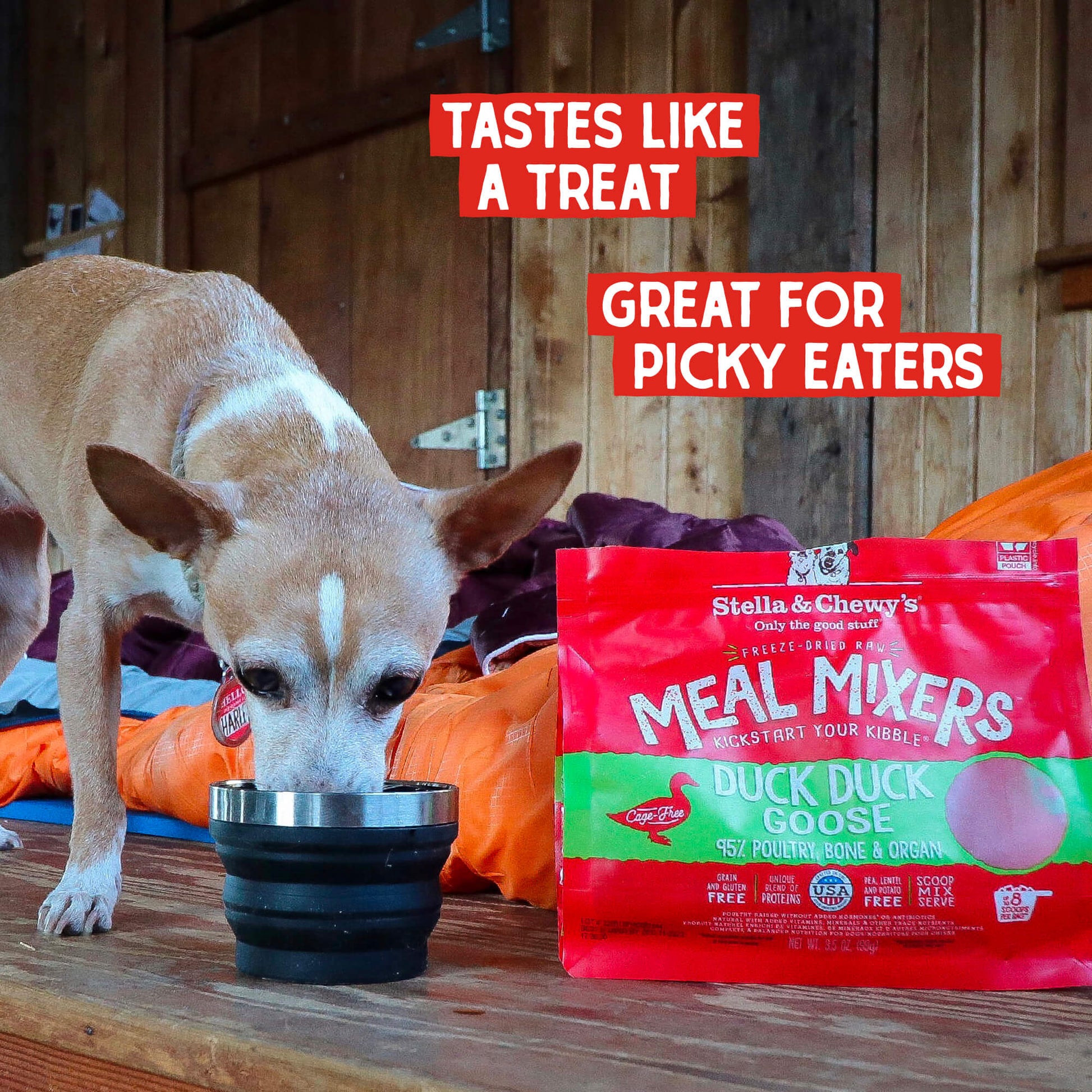 TASTES LIKE A TREAT | GREAT FOR PICKY EATERS