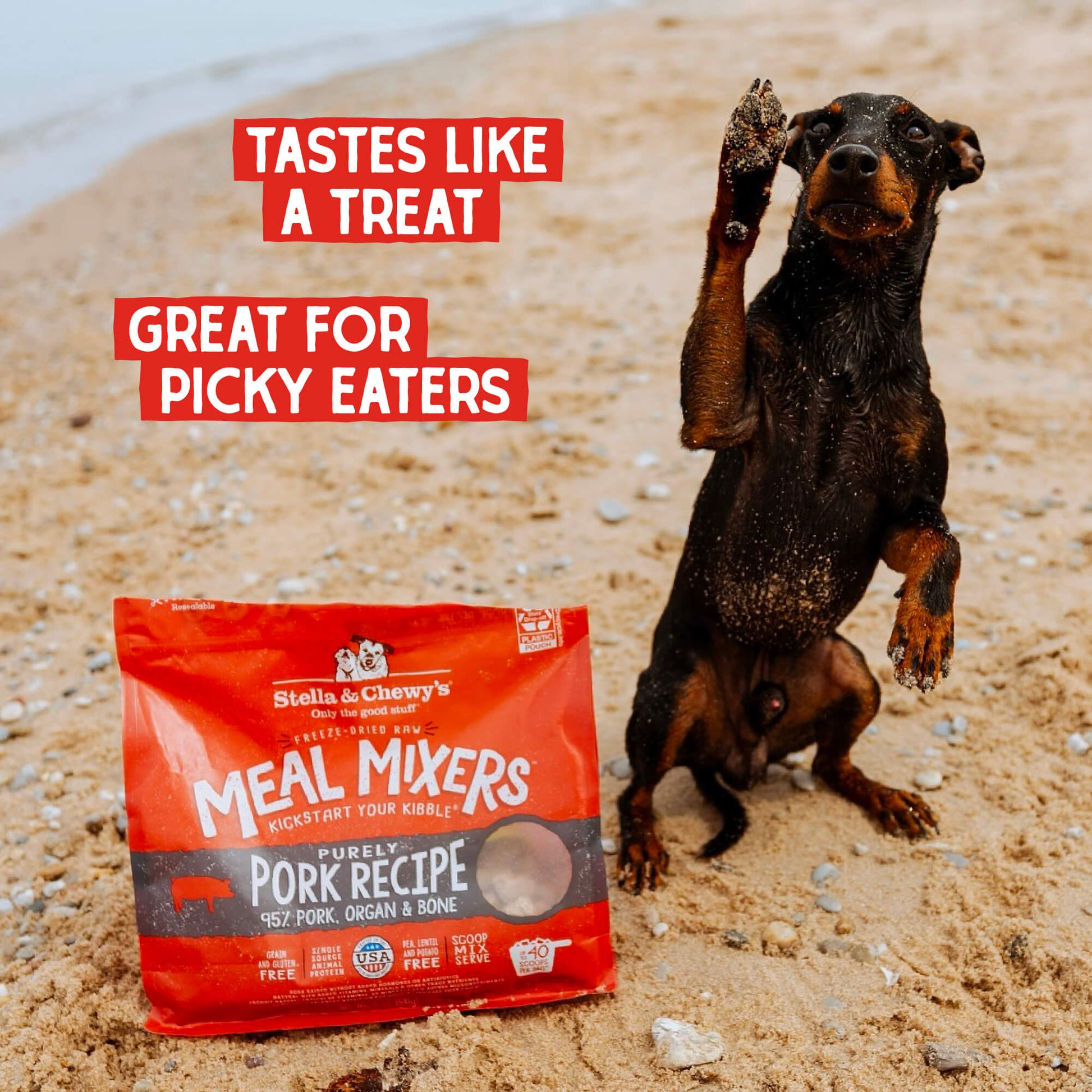 TASTES LIKE A TREAT | GREAT FOR PICKY EATERS