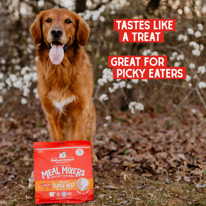 TASTES LIKE A TREAT | GREAT FOR PICKY EATERS