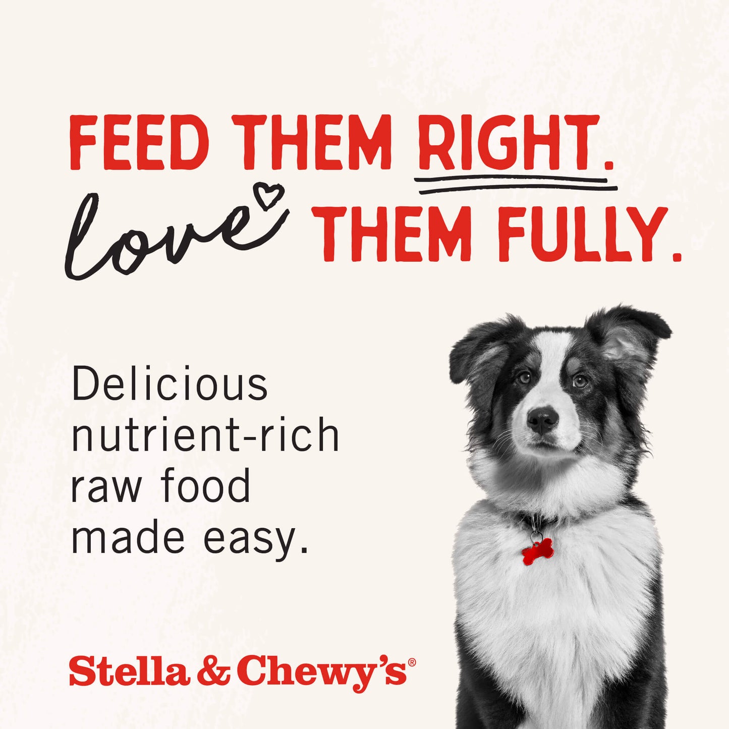 Feed them right. Love them fully. Delicious nutrient-rich raw food made easy. 