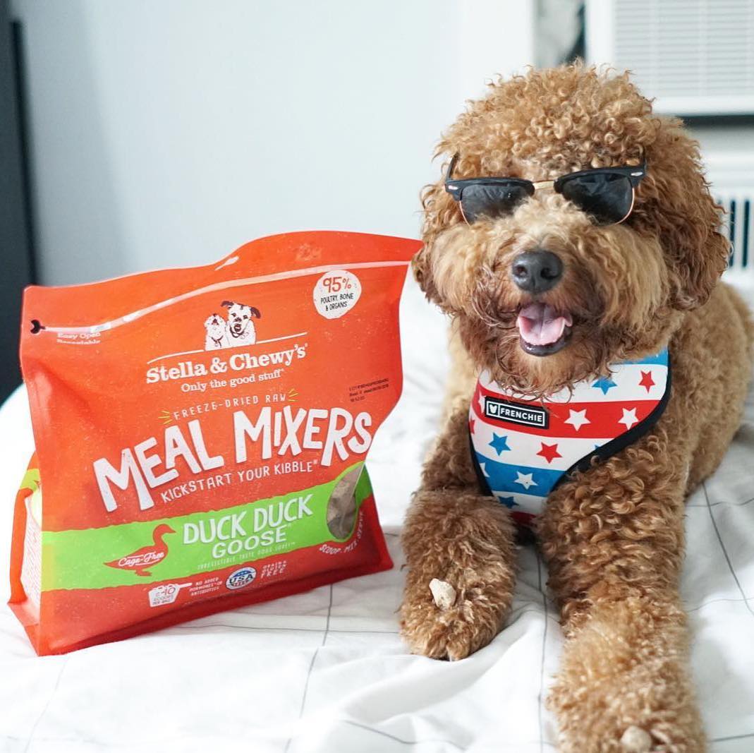 dog wearing sunglass with bag of Duck Duck Goose Meal Mixers