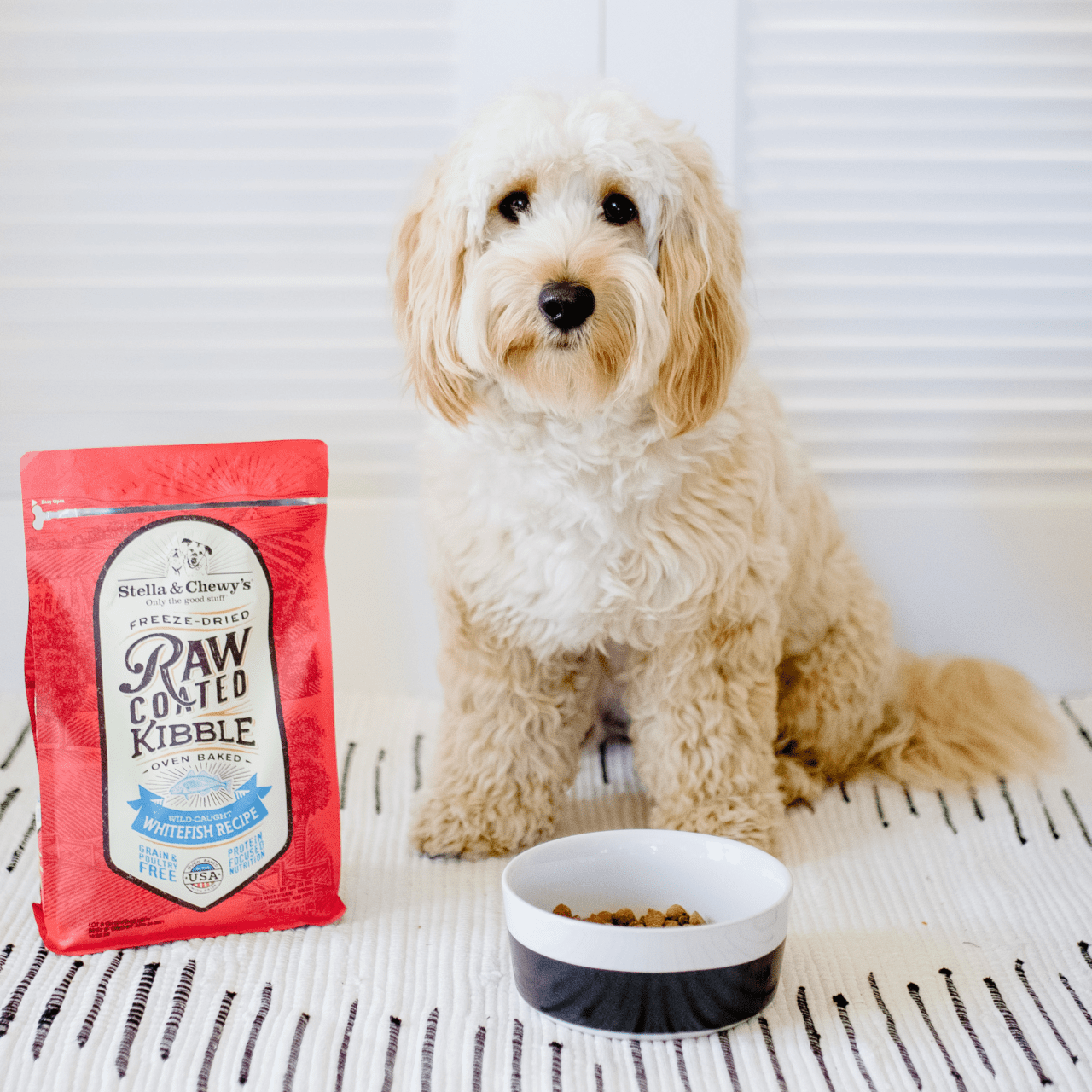 dog with bag of Whitefish Raw Coated Kibble