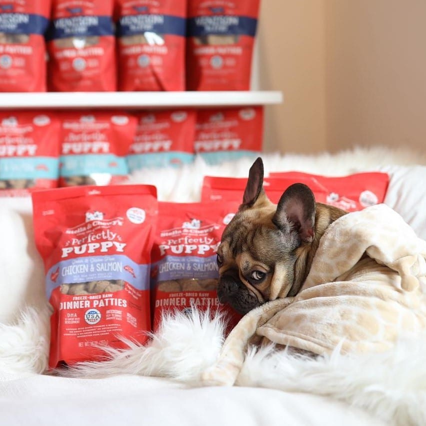 French Bulldog cuddling with bags of Chicken & Salmon Puppy Patties