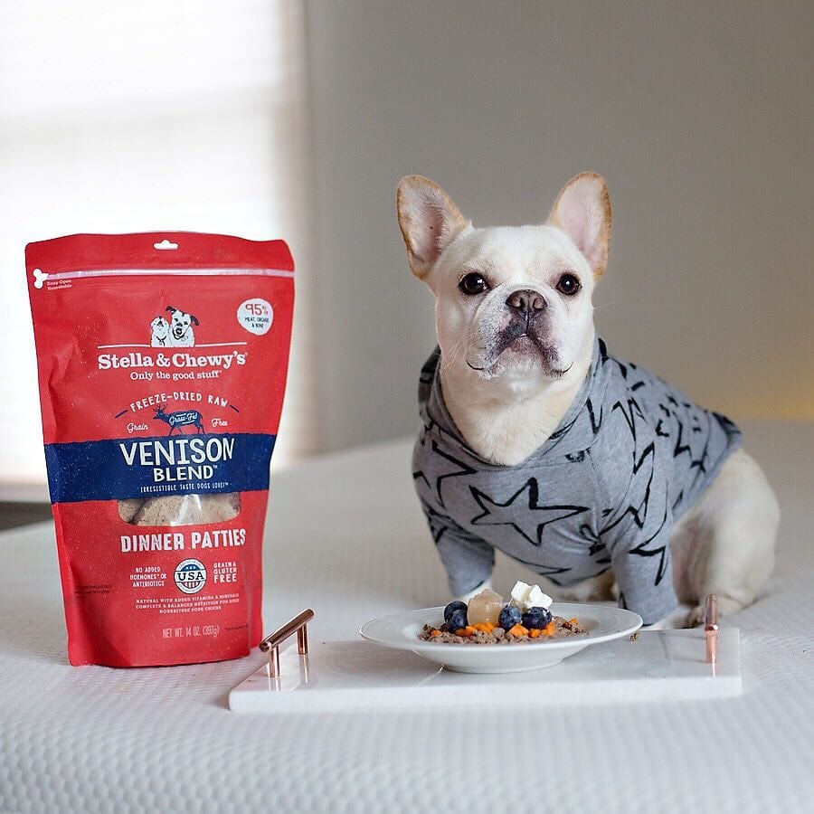 bulldog with bag of Venison Blend Freeze-Dried Raw Dinner Patties