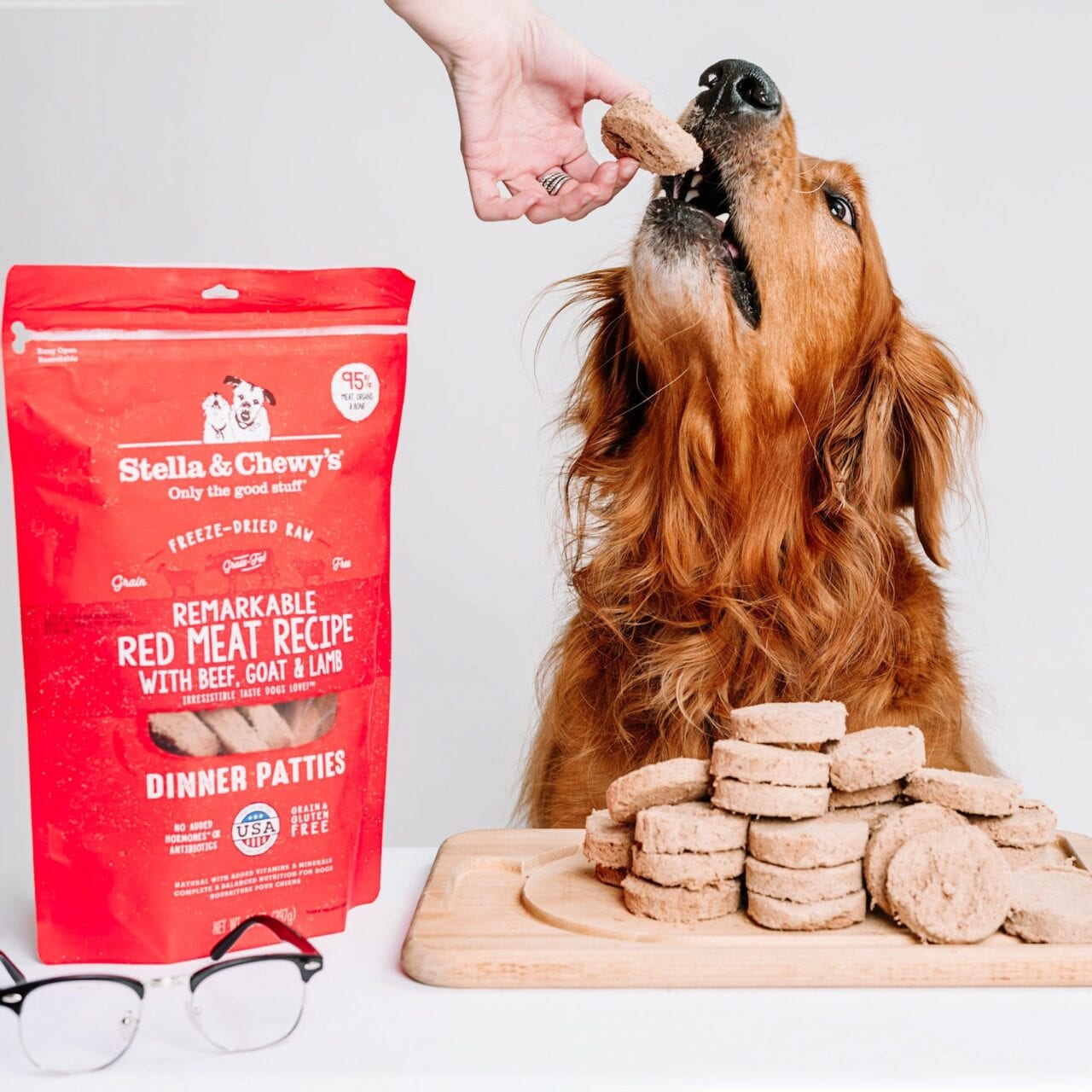 Golden retriever enjoying Remarkable Red Meat Freeze-Dried Raw Dinner Patties