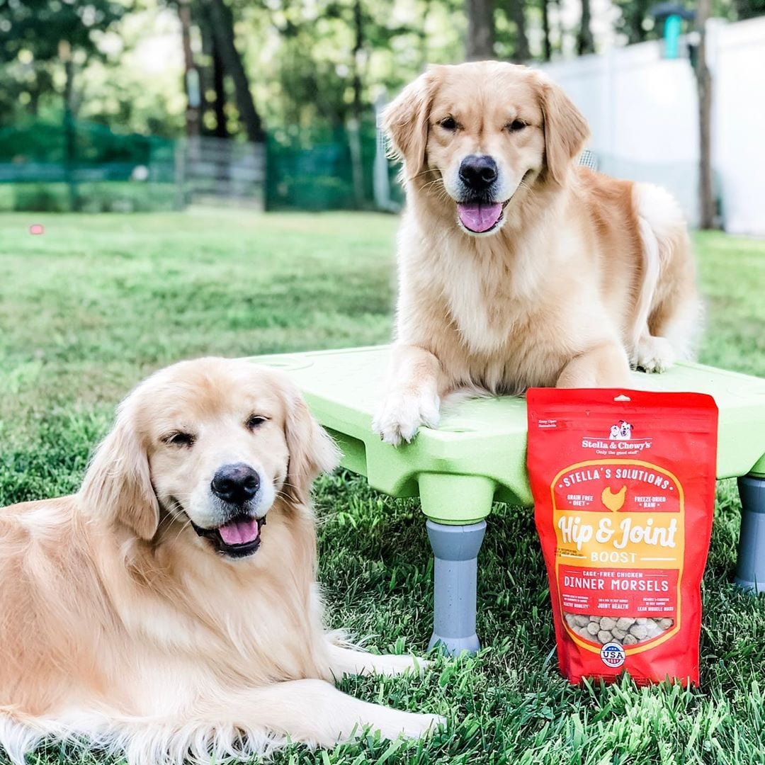 two golden retrievers with bag of Stella’s Solutions Hip & Joint Support