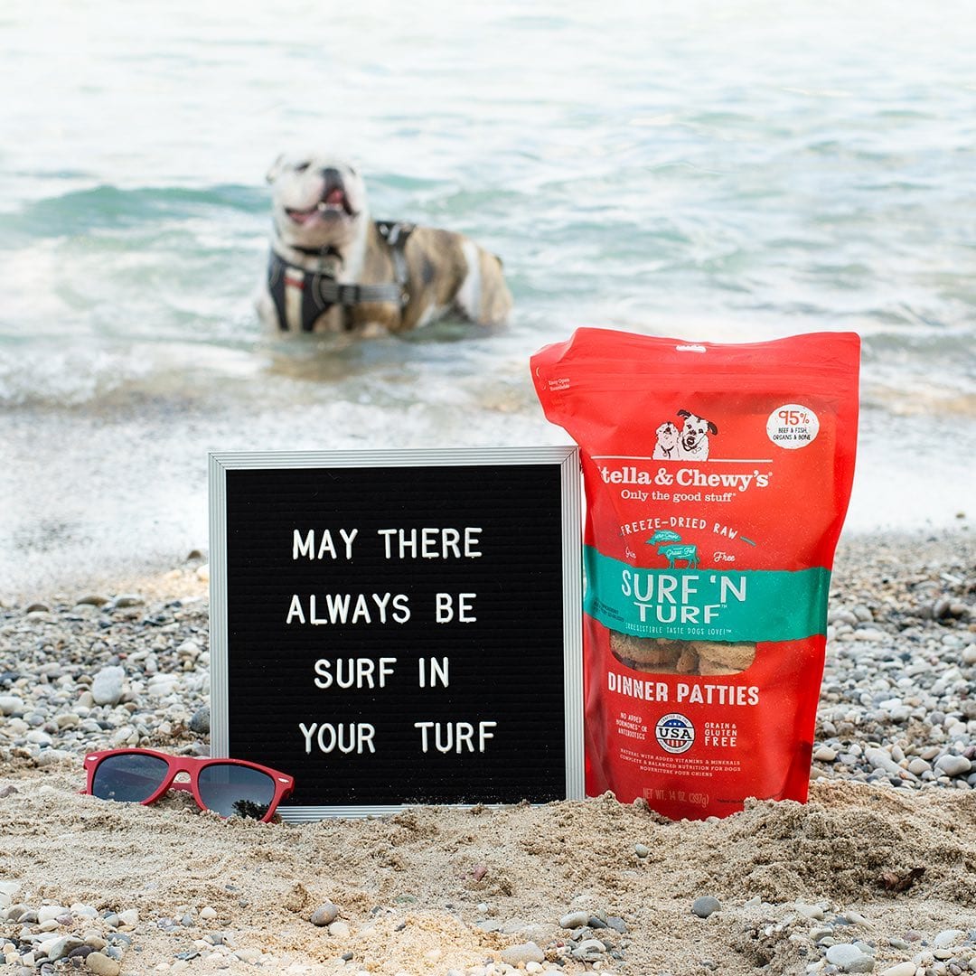 bag of Surf ‘N Turf Freeze-Dried Raw Dinner Patties at the beach with dog in the background