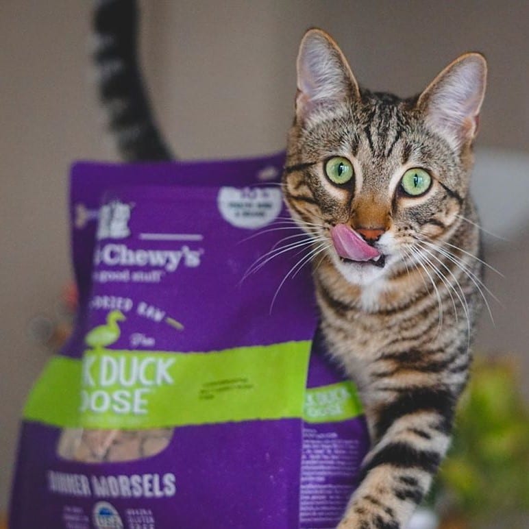 cat licking lips eager to try some Duck Duck Goose Freeze-dried Raw Dinner Morsels