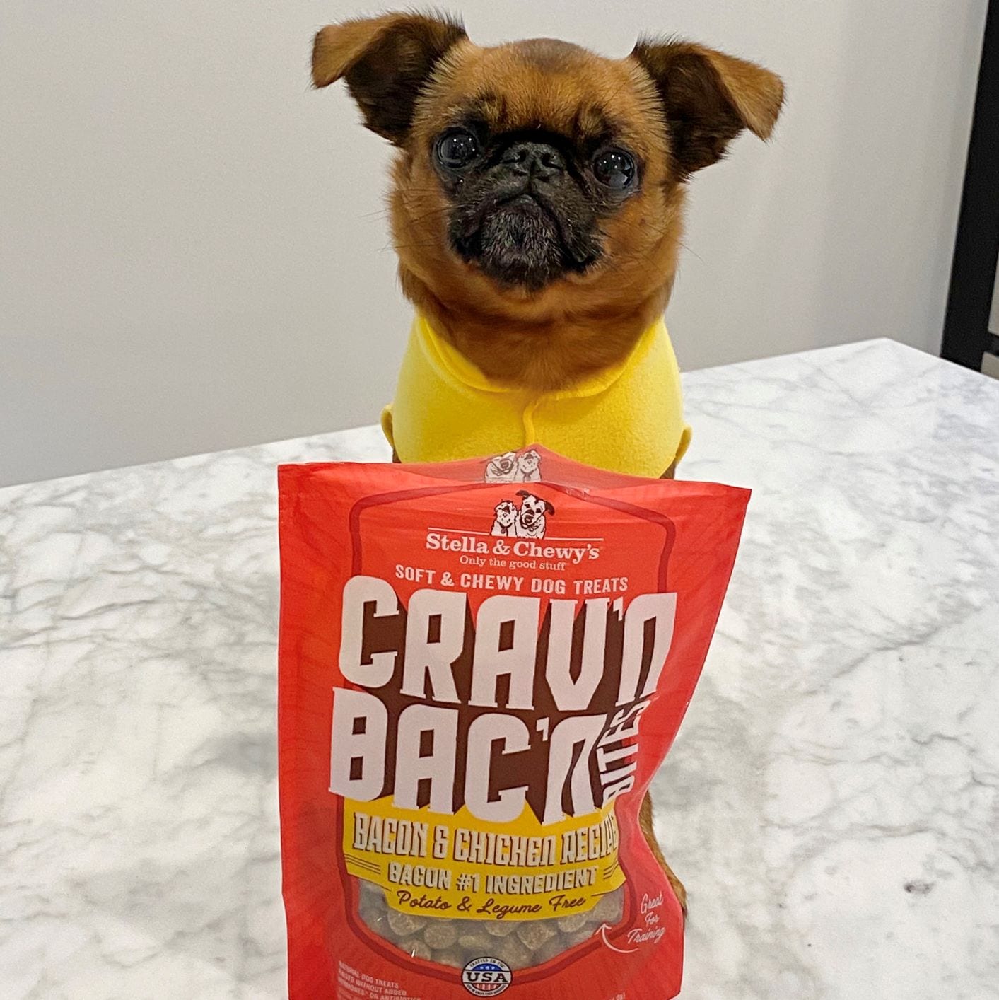 cute little dog posing with a bag of Crav'n Bac'n Bacon and Chicken Recipe