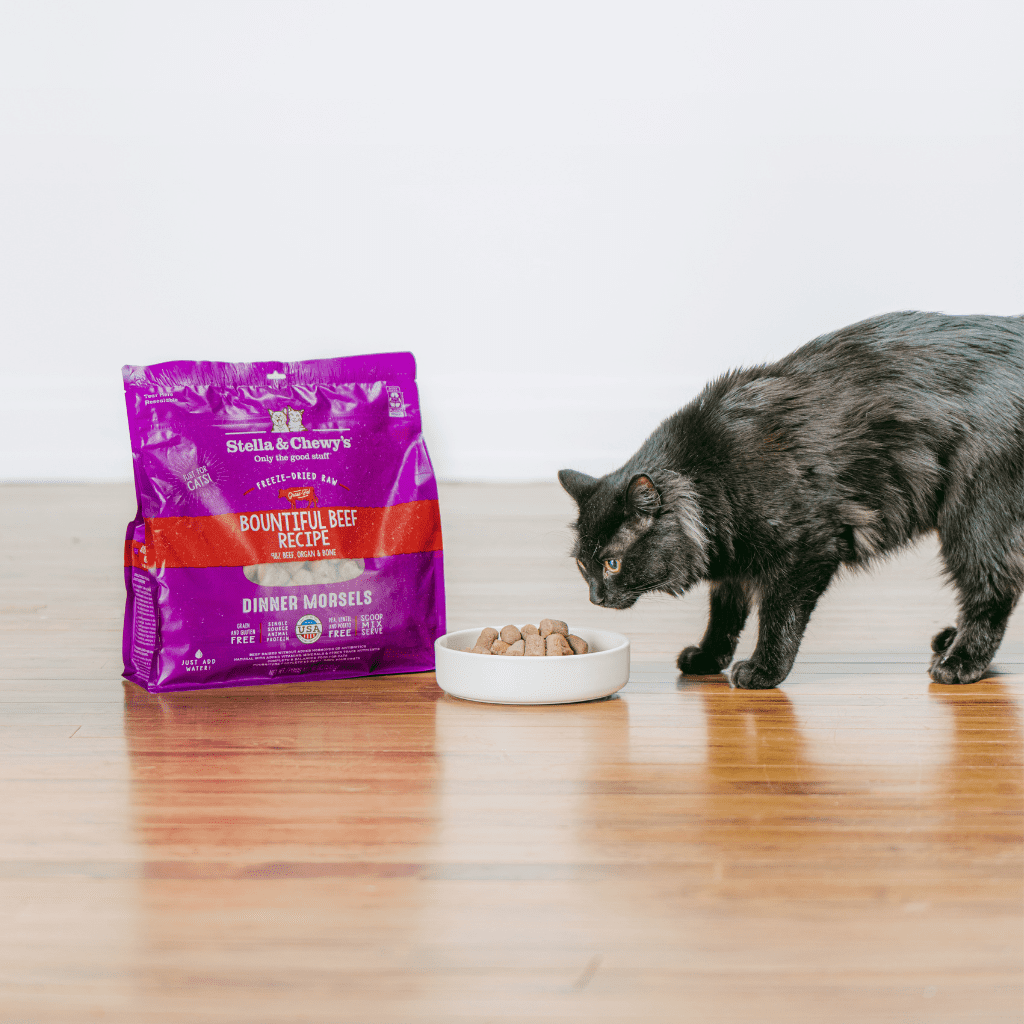 Black and gray cat eating Bountiful Beef Freeze-Dried Raw Dinner Morsels out of a white bowl