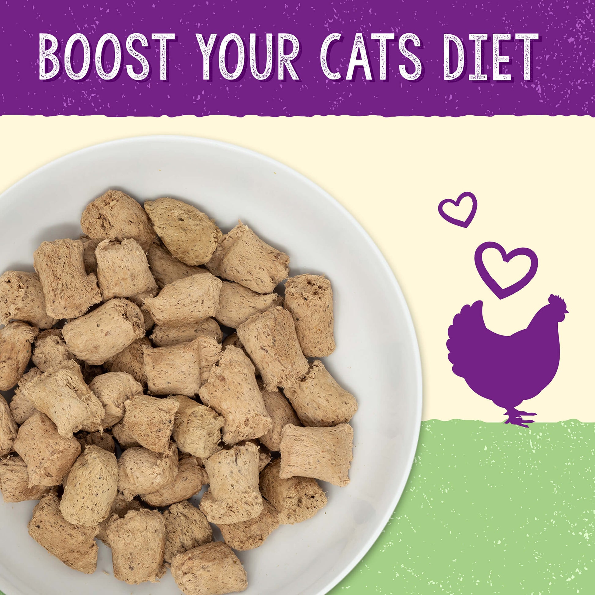 BOOST YOUR CAT'S DIET