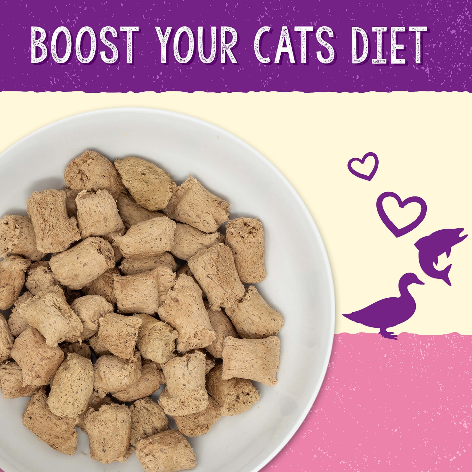 BOOST YOUR CAT'S DIET