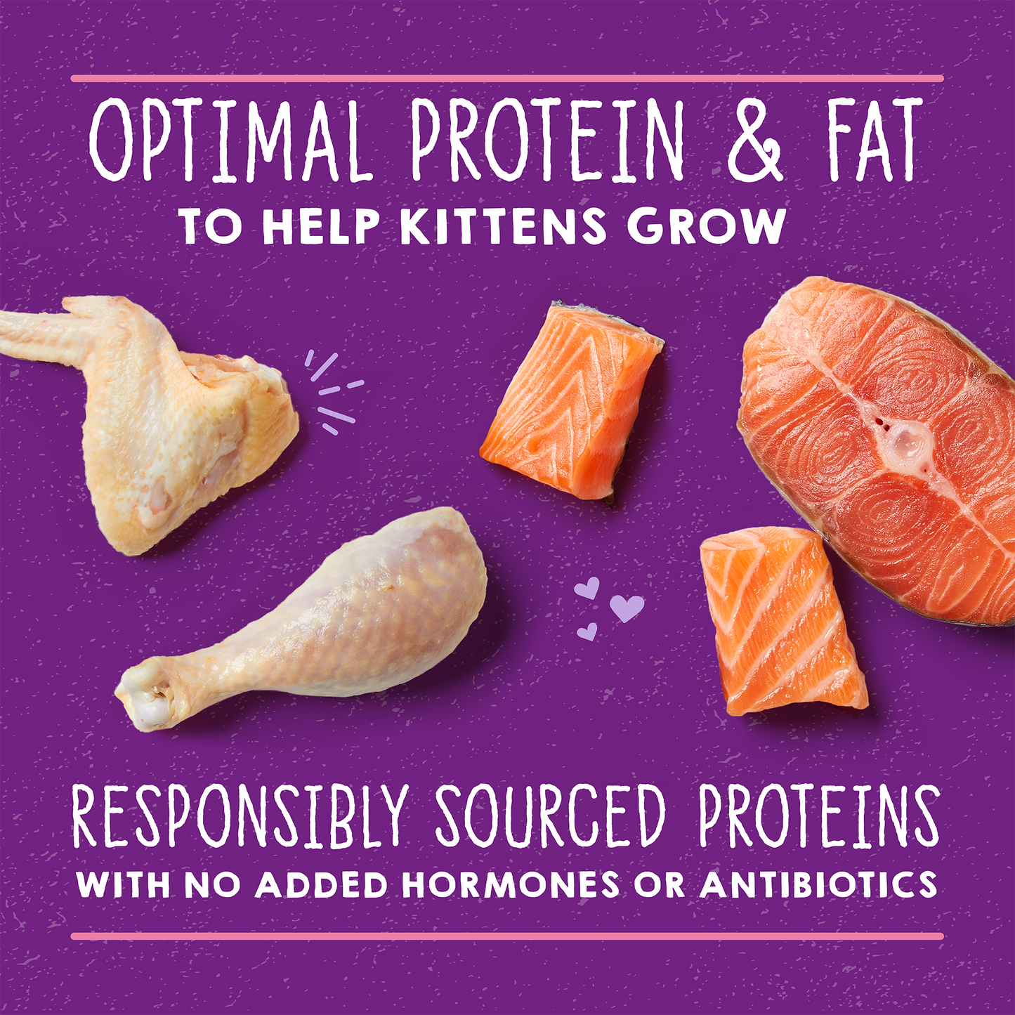 Carnivore Cravings Purrfect Paté Kitten Chicken & Salmon Recipe