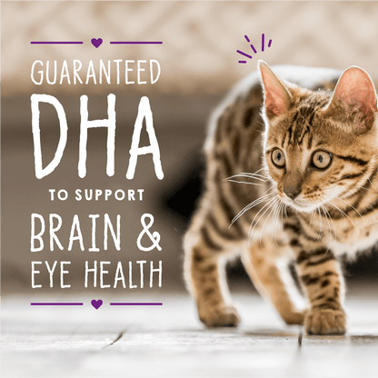 GUARANTEED DHA TO SUPPORT BRAIN & EYE HEALTH