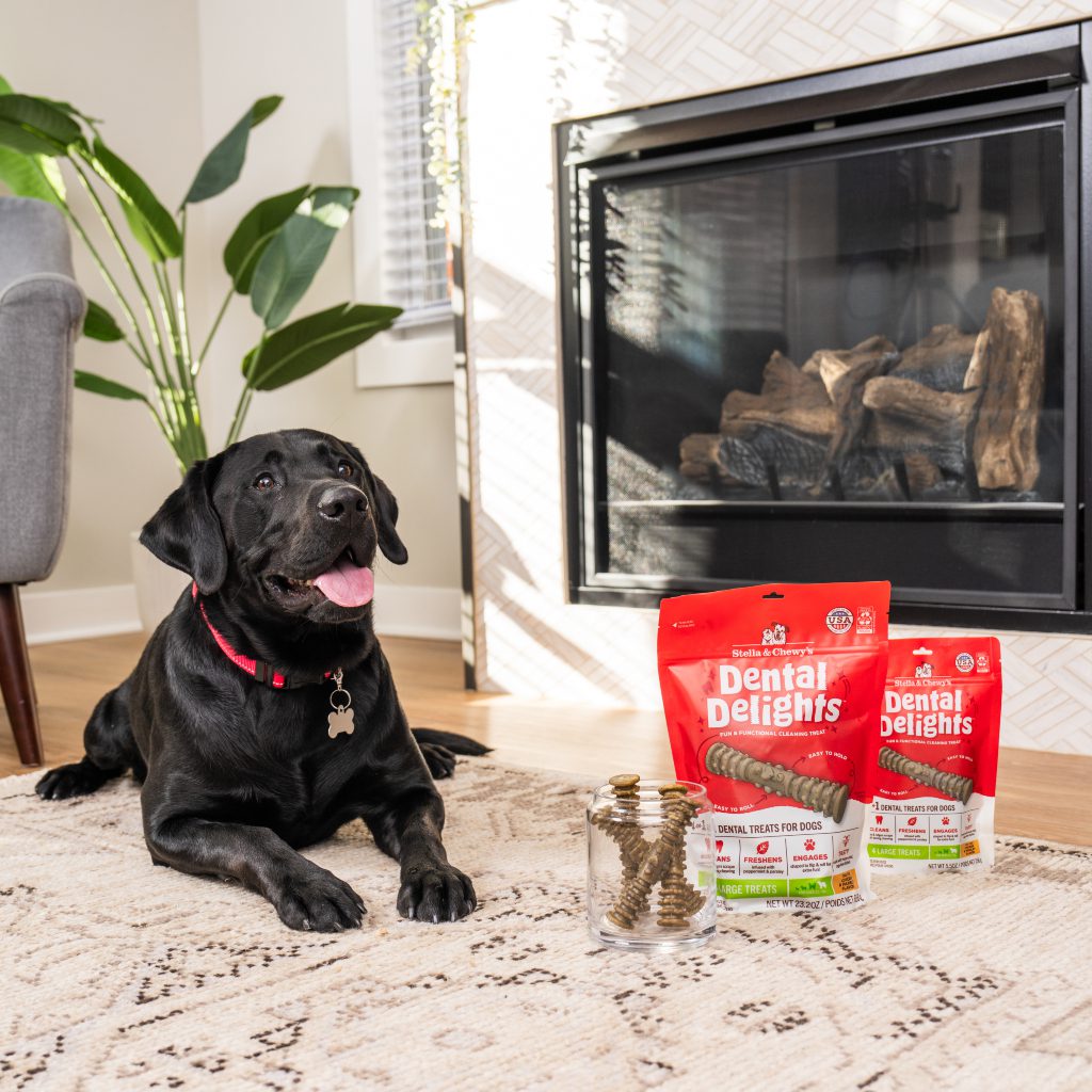 Large dog laying next to dental delights treats and packaging