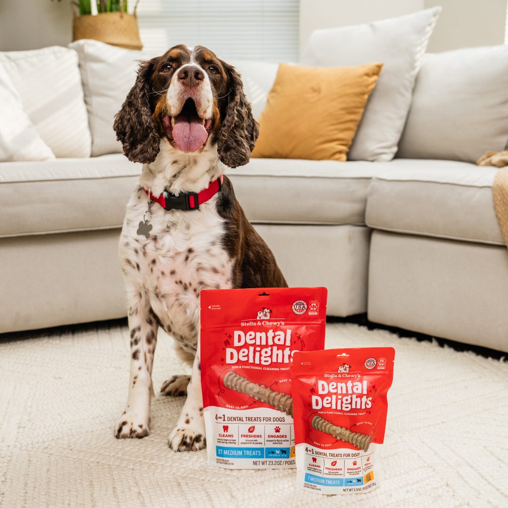 Medium Dog sitting with medium dental delights treats packages