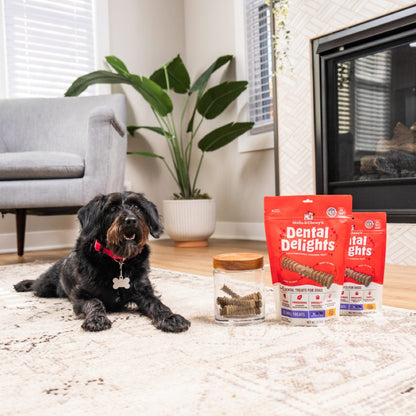 Small Dog laying next to small dental delights treats packages