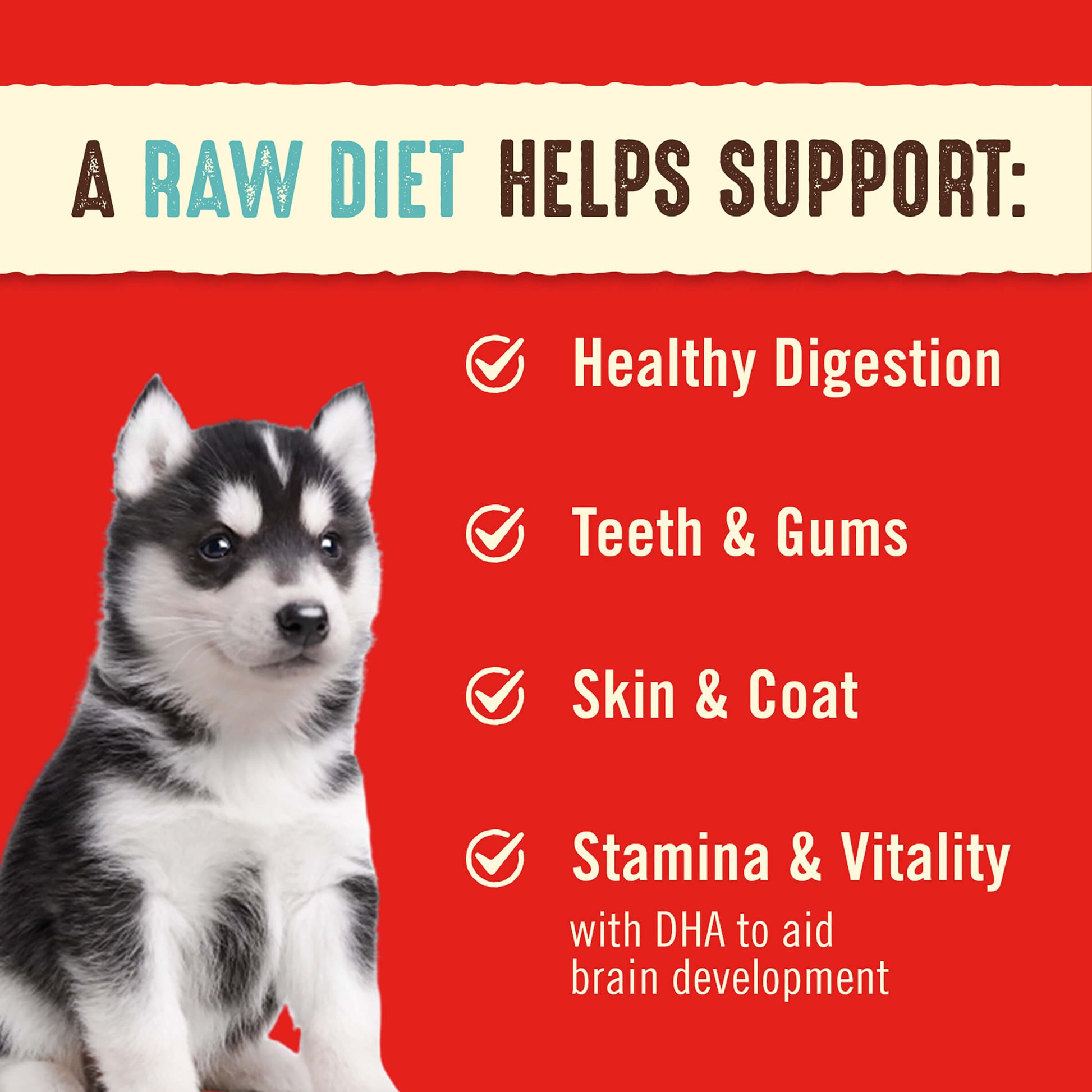 A Raw Diet Helps Support: Healthy Digestion | Teeth & Gums | Skin & Coat | Stamina & Vitality with DHA to aid brain development