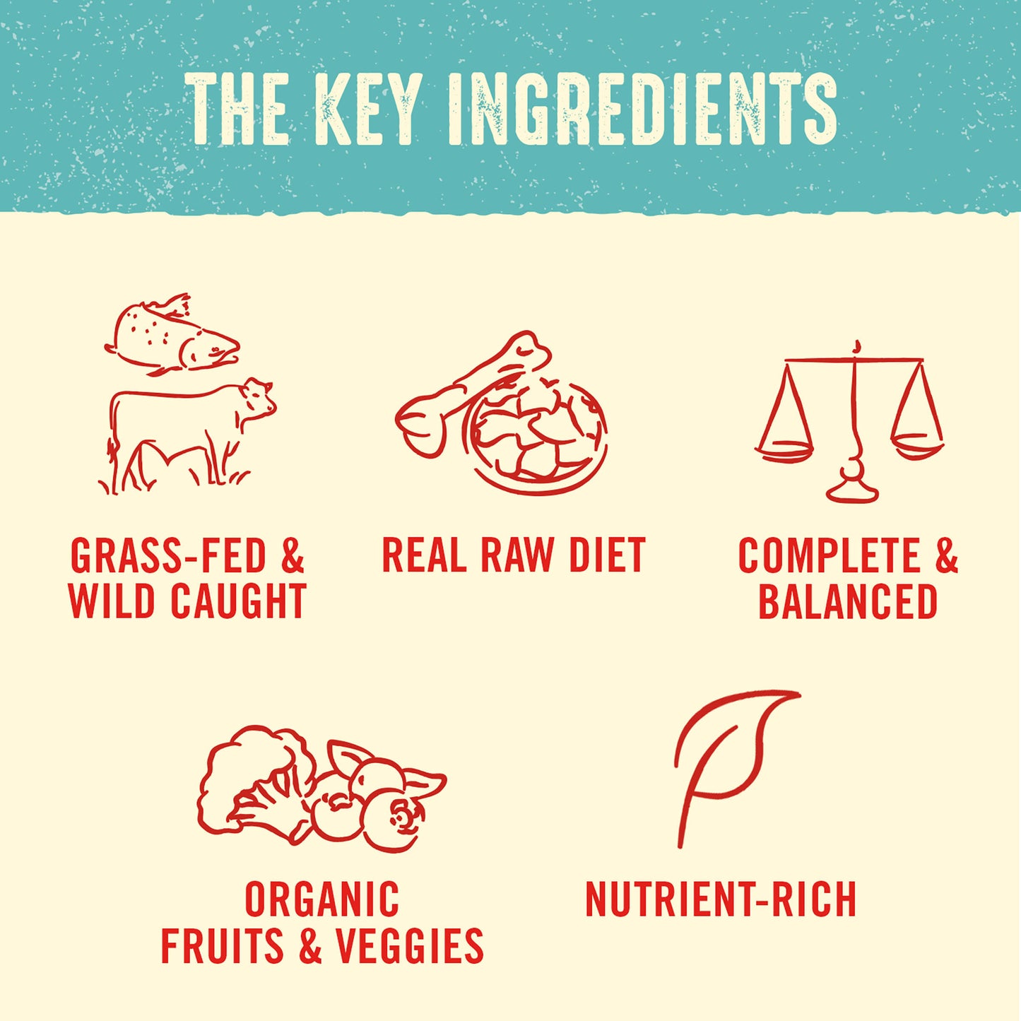 The Key Ingredients | Grass-Fed & Wild Caught | Real Raw Diet | Complete & Balanced | Organic Fruits & Veggies | Nutrient-rich