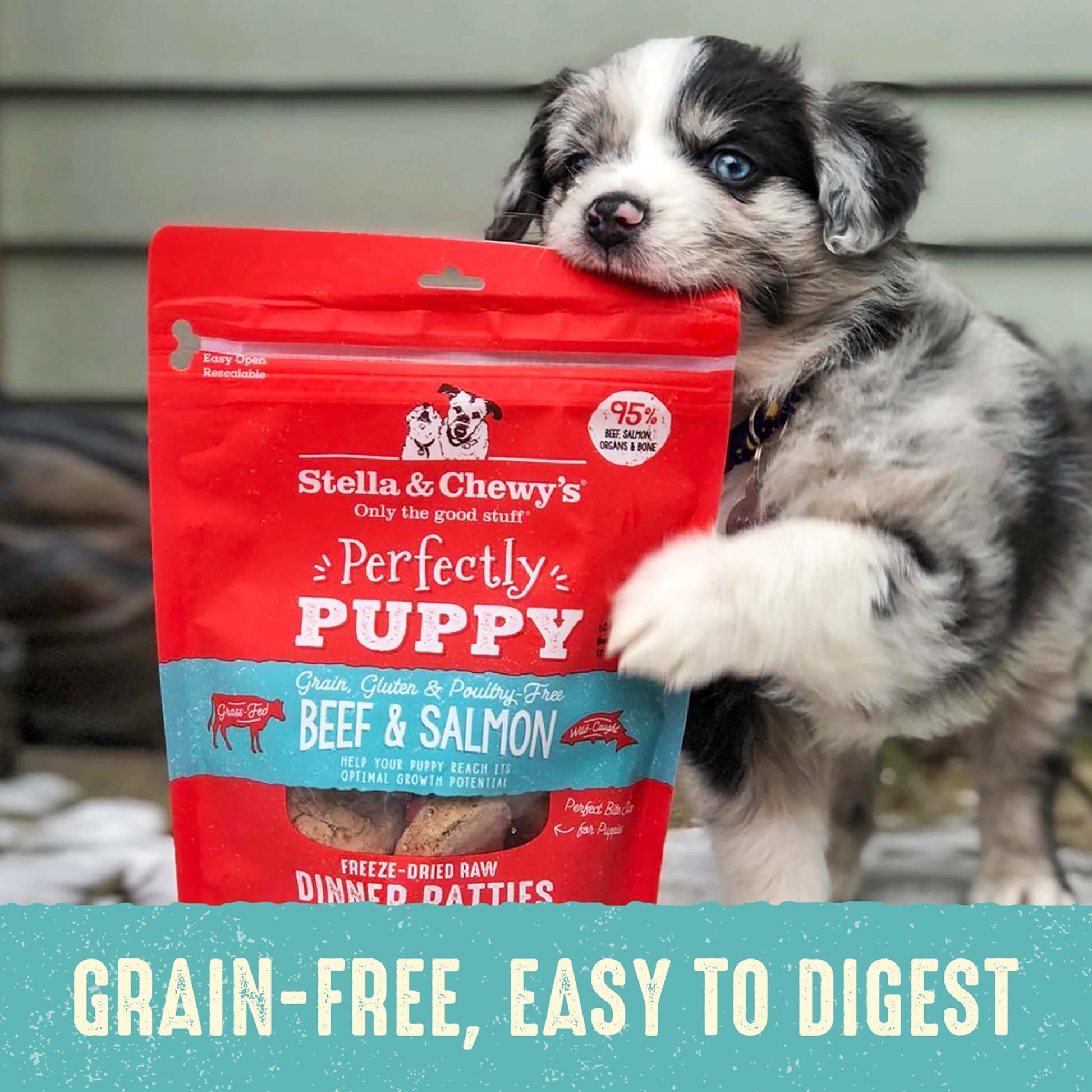 Grain-Free, Easy to Digest | Perfectly Puppy Freeze-Dried Raw Beef & Salmon Dinner Patties for Puppies