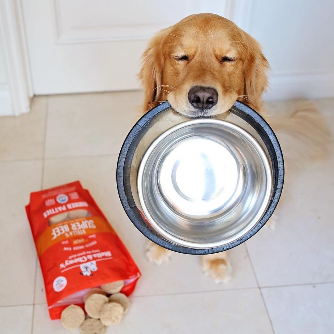 dog holding empty bow in its mouth with bag of Stella’s Super Beef Freeze-Dried Raw Dinner Patties