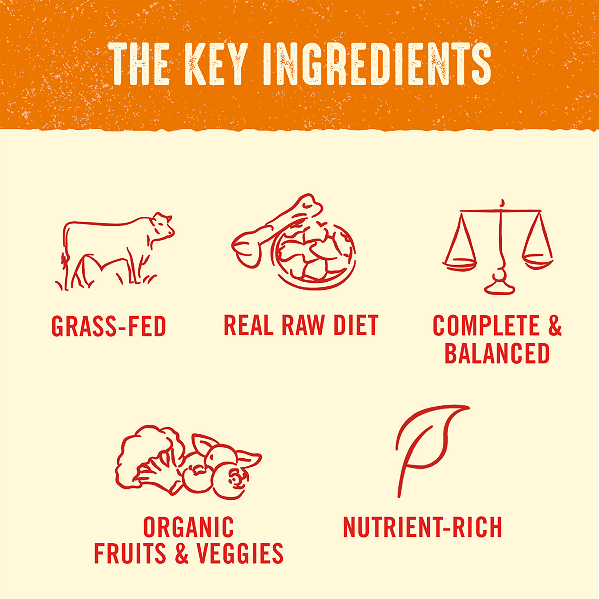 THE KEY INGREDIENTS | GRASS-FED | REAL RAW DIET | COMPLETE & BALANCED | ORGANIC FRUITS & VEGGIES | NUTRIENT-RICH