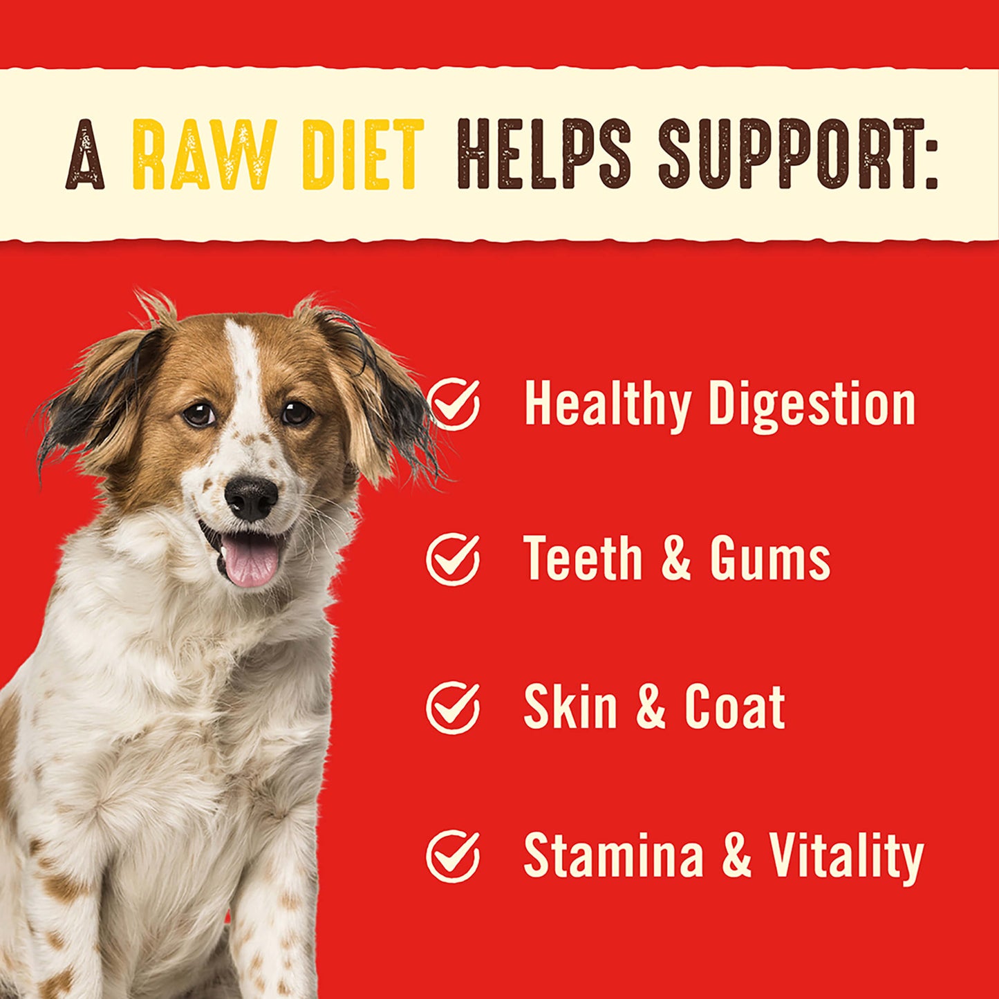 A RAW DIET HELPS SUPPORT: | Healthy Digestion | Teeth & Gums | Skin & Coat | Stamina & Vitality