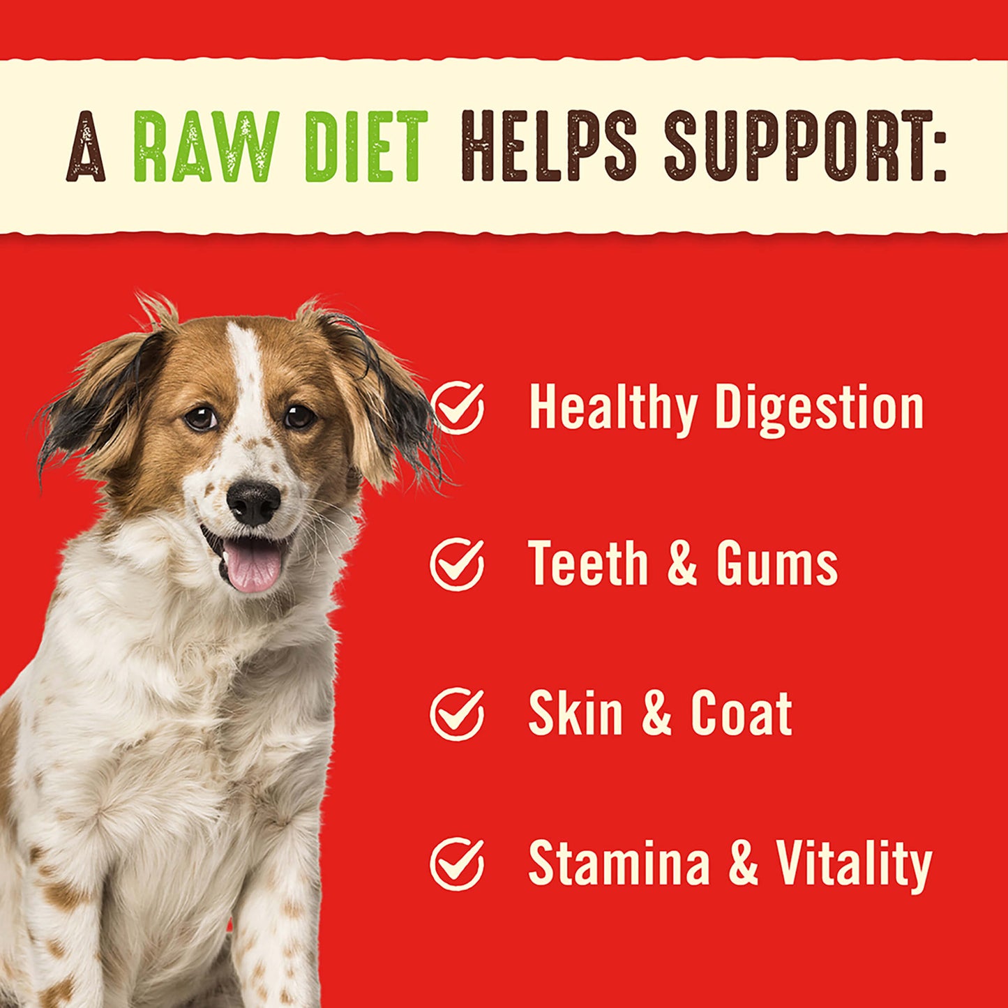 A RAW DIET HELPS SUPPORT: | Healthy Digestion | Teeth & Gums | Skin & Coat | Stamina & Vitality