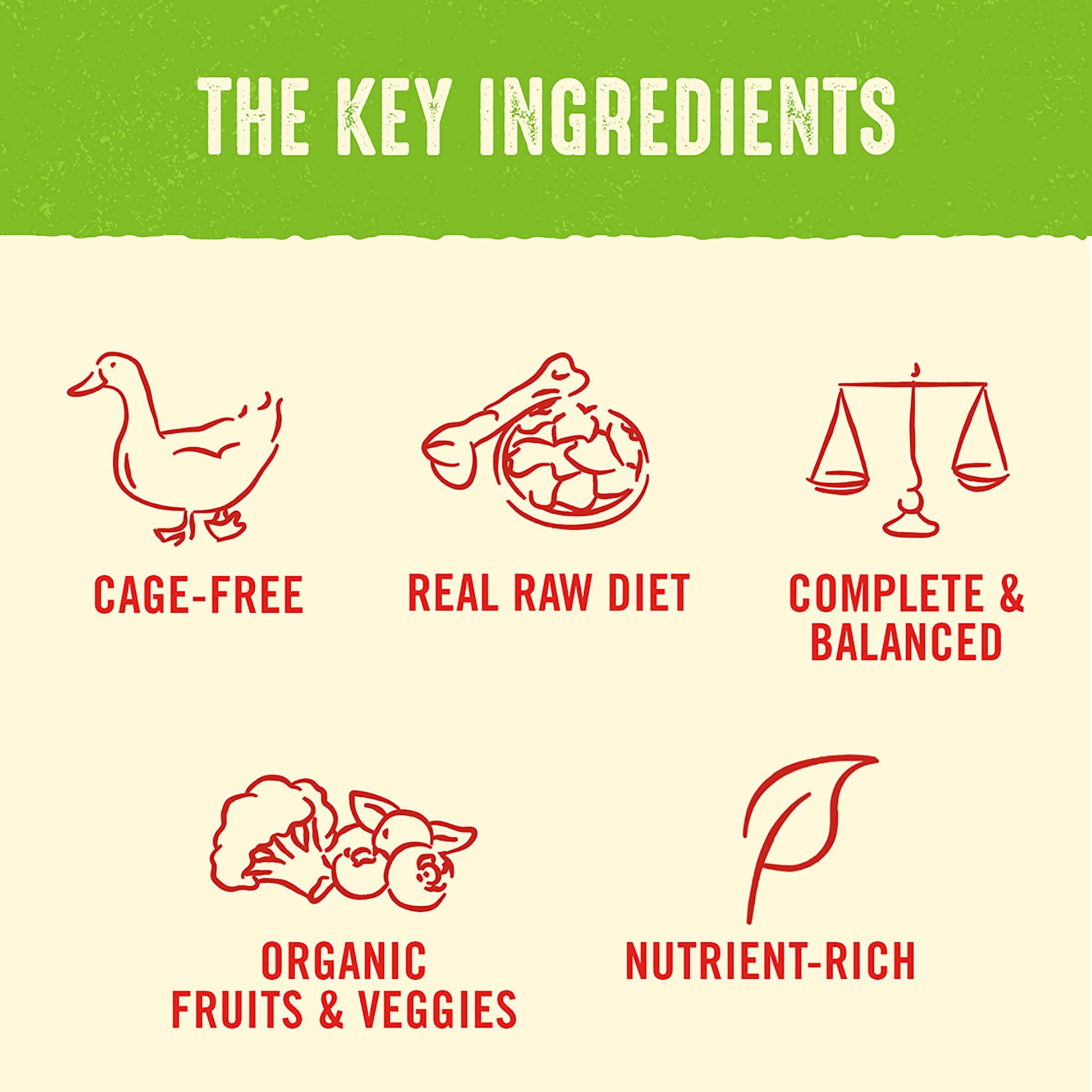 THE KEY INGREDIENTS | CAGE-FREE | REAL RAW DIET | COMPLETE & BALANCED | ORGANIC FRUITS & VEGGIES | NUTRIENT-RICH