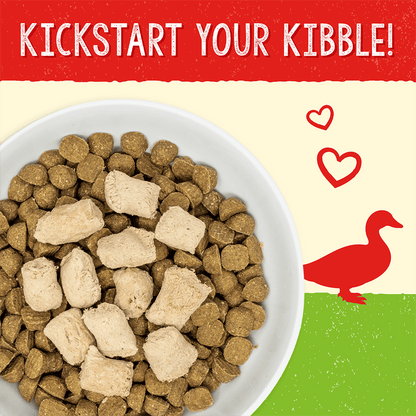 KICKSTART YOUR KIBBLE!