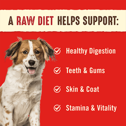 A RAW DIET HELPS SUPPORT: | Healthy Digestion | Teeth & Gums | Skin & Coat | Stamina & Vitality