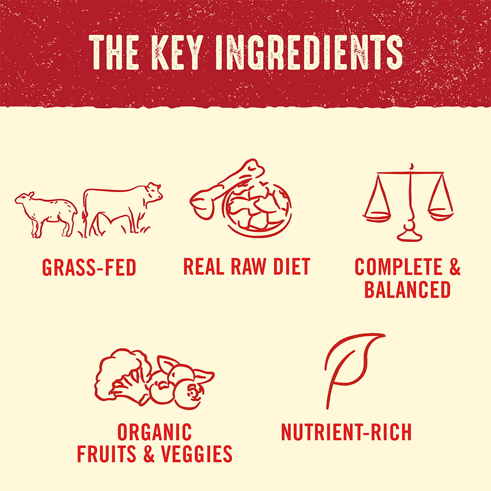 THE KEY INGREDIENTS | GRASS-FED | REAL RAW DIET | COMPLETE & BALANCED | ORGANIC FRUITS & VEGGIES | NUTRIENT-RICH