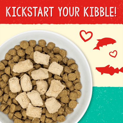 KICKSTART YOUR KIBBLE!