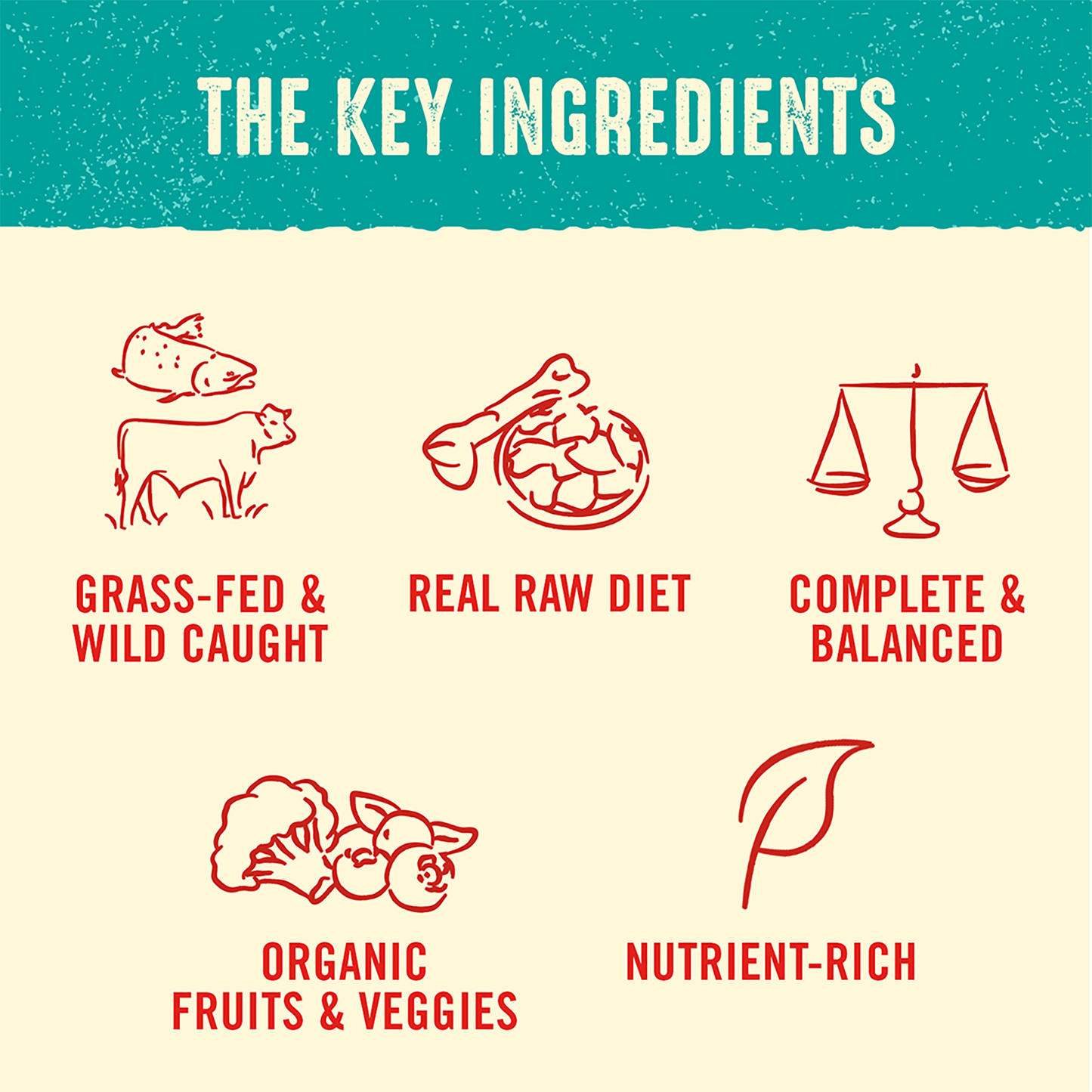 THE KEY INGREDIENTS | GRASS-FED & WILD CAUGHT | REAL RAW DIET | COMPLETE & BALANCED | ORGANIC FRUITS & VEGGIES | NUTRIENT-RICH