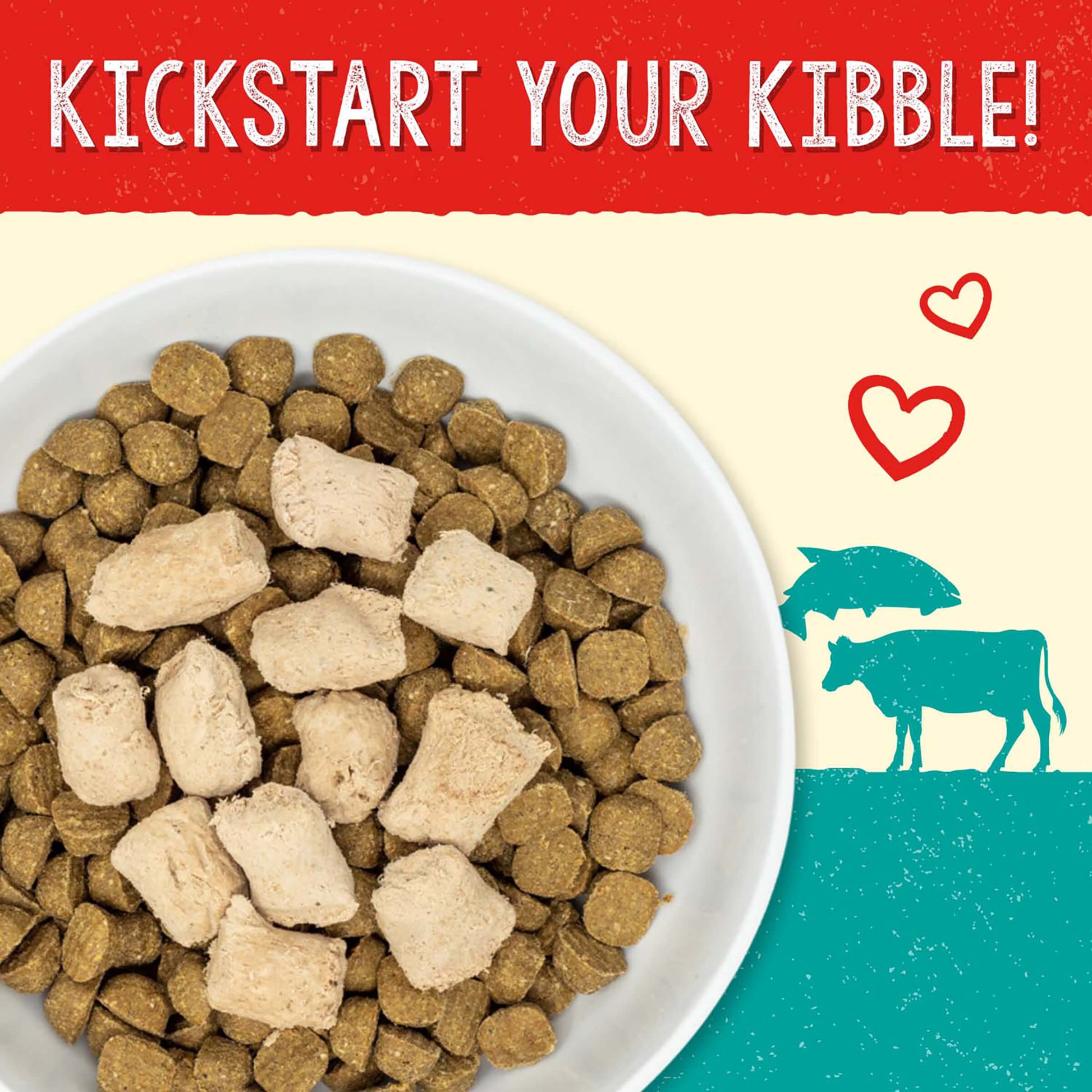 KICKSTART YOUR KIBBLE!