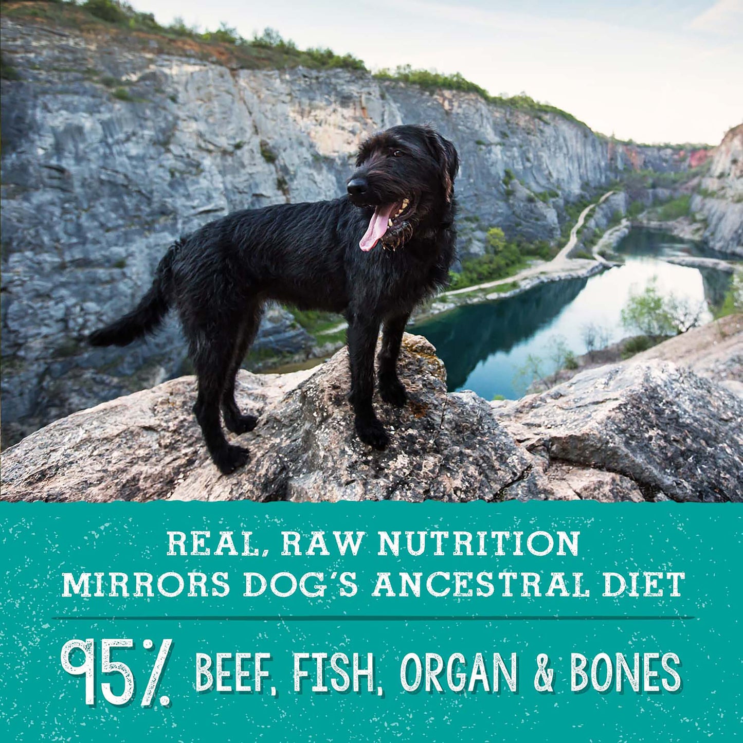 REAL, RAW NUTRITION MIRRORS DOG'S ANCESTRAL DIET | 95% BEEF, FISH, ORGAN & BONES