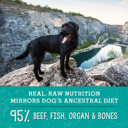 REAL, RAW NUTRITION MIRRORS DOG'S ANCESTRAL DIET | 95% BEEF, FISH, ORGAN & BONES