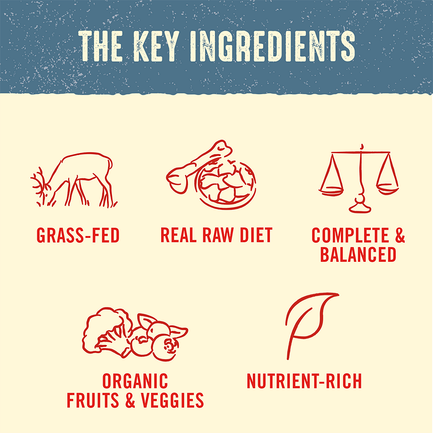 THE KEY INGREDIENTS | GRASS-FED | REAL RAW DIET | COMPLETE & BALANCED | ORGANIC FRUITS & VEGGIES | NUTRIENT-RICH