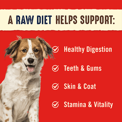 A RAW DIET HELPS SUPPORT: | Healthy Digestion | Teeth & Gums | Skin & Coat | Stamina & Vitality