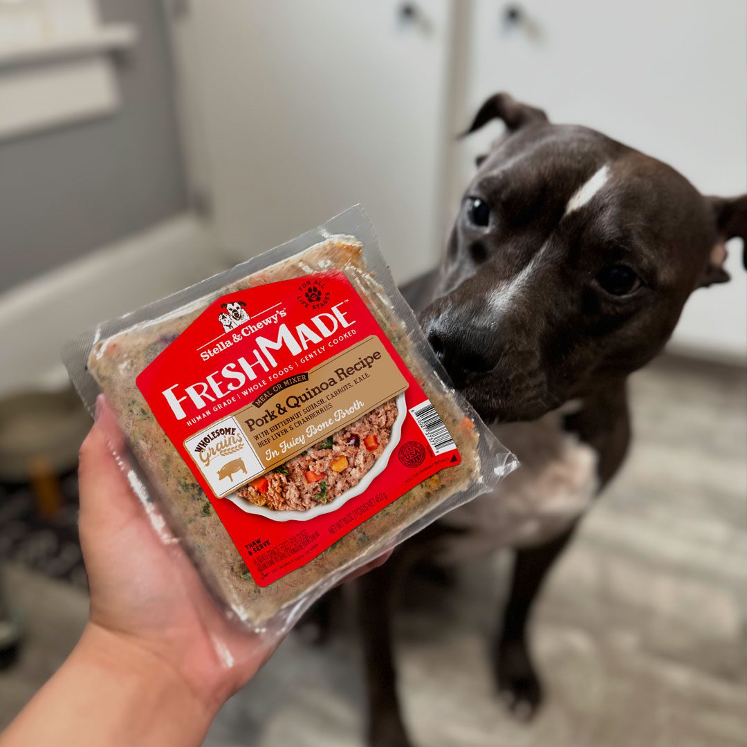 Dog sniffing a package of FreshMade Pork & Quinoa