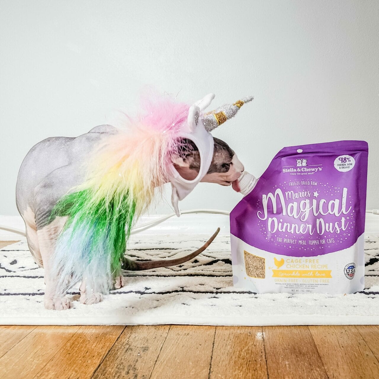 hairless cat with unicorn hat licking Marie's Magical Dinner Dust Chicken Recipe