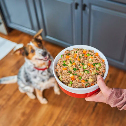 Beefy-Licious Puppy Food in Bowl