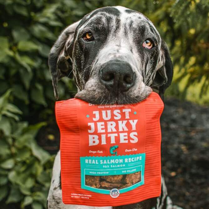 black and white pup holding bag of salmon just jerky bites