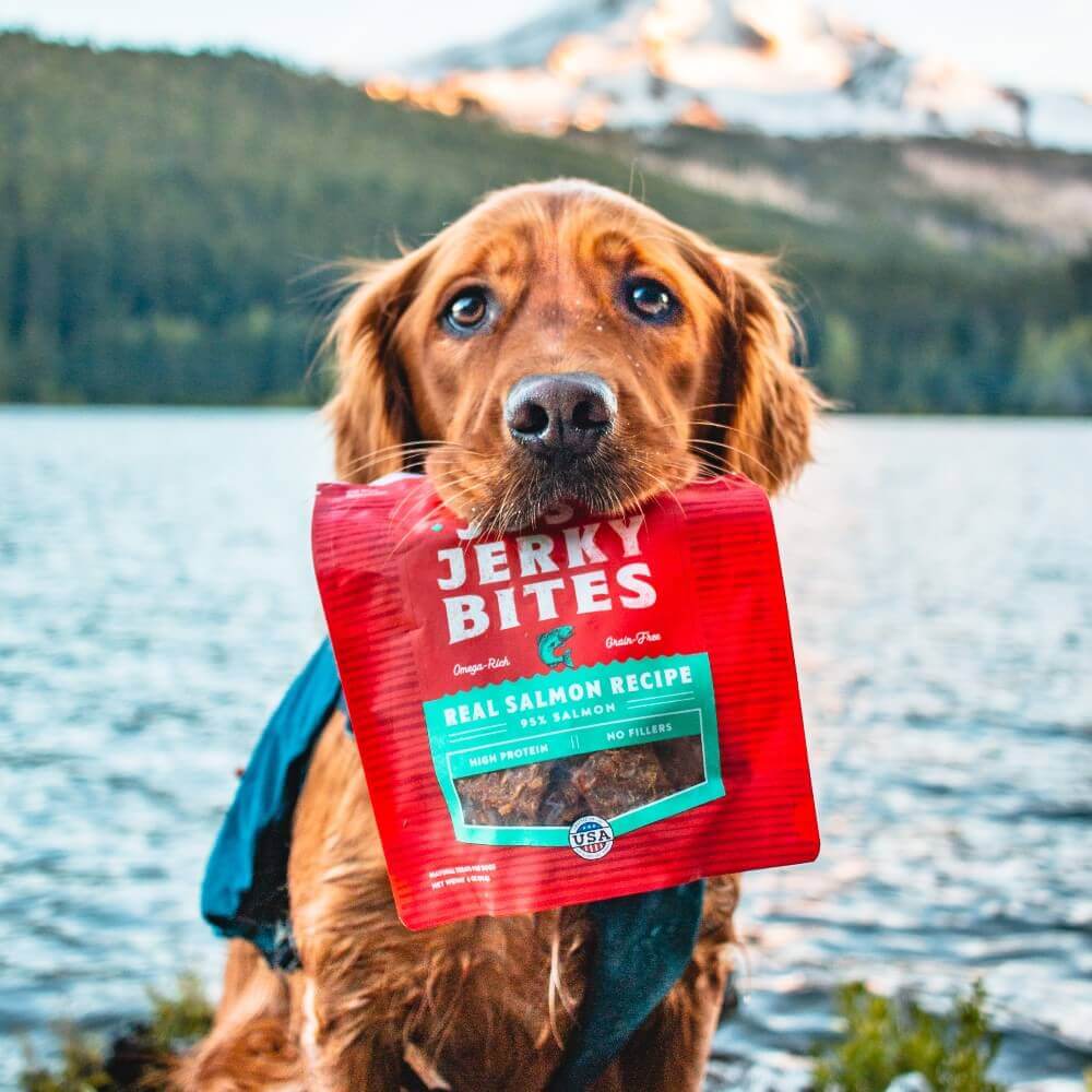 golden retriever holding a bag of salmon just jerky bites in their mouth