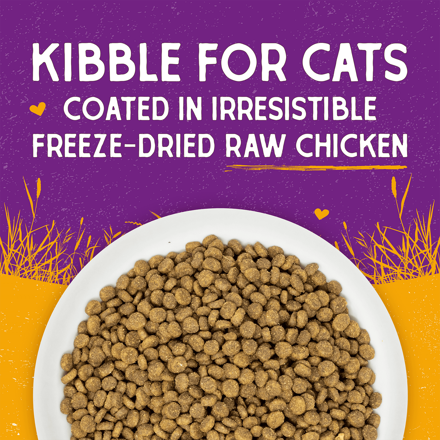 Raw Coated Kibble Cage-Free Chicken Recipe