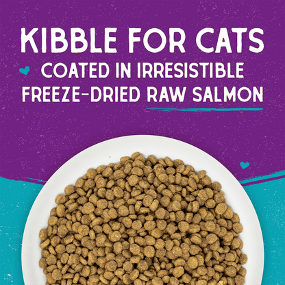 Raw Coated Kibble Wild-Caught Salmon Recipe