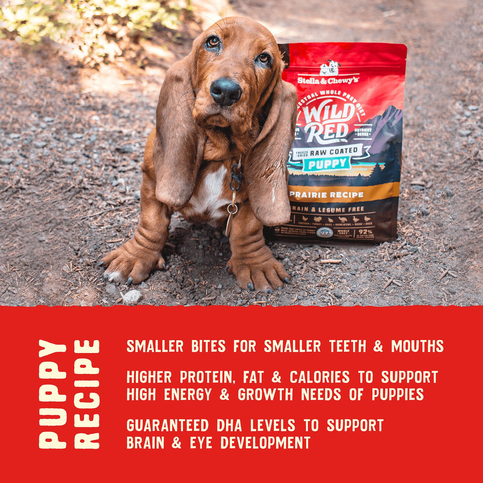 Wild Red Grain Free Puppy Food Whole Prey Prairie Poultry Recipe Raw Coated Kibble Protein Rich Legume Free Dry Puppy Food