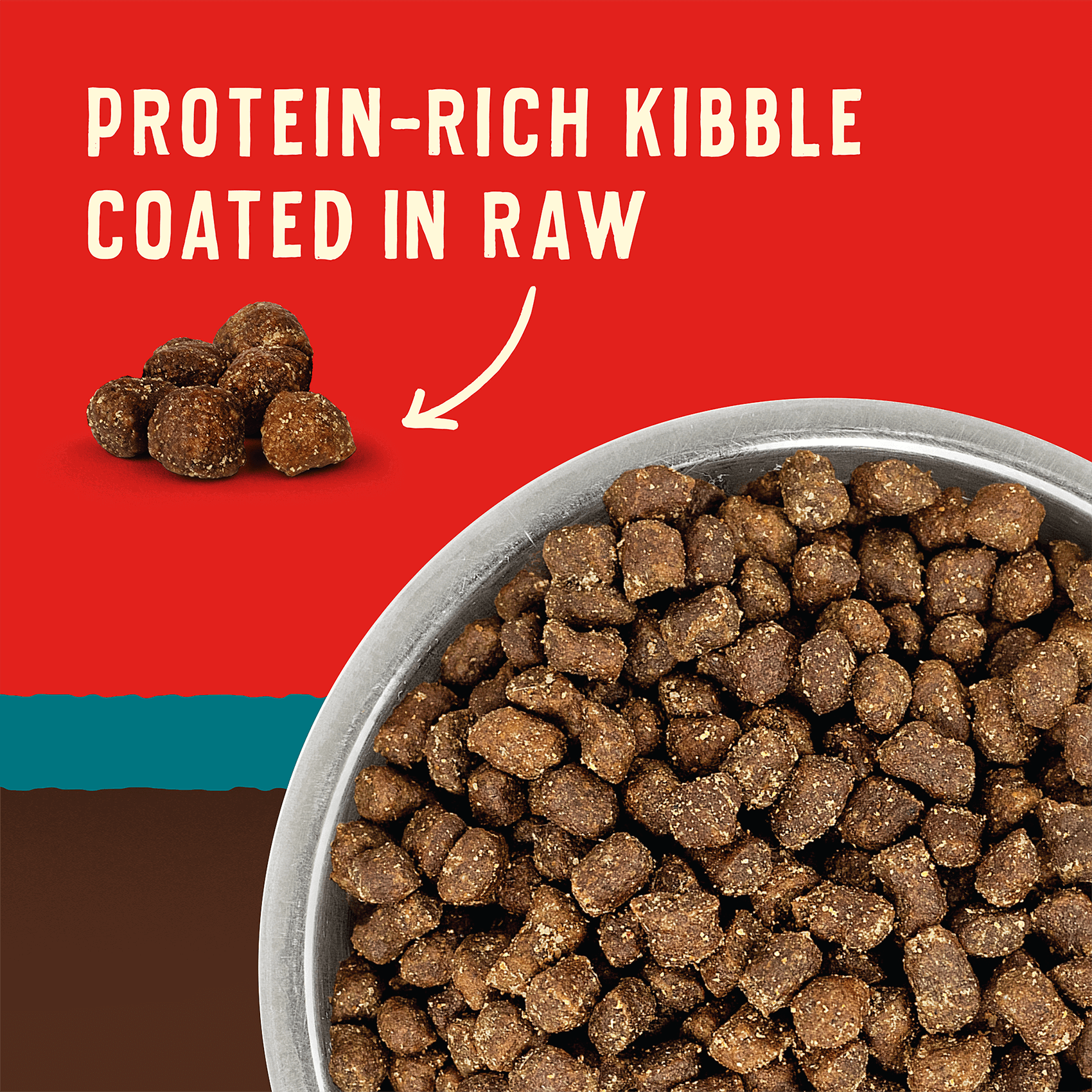 PROTEIN-RICH KIBBLE COATED IN RAW