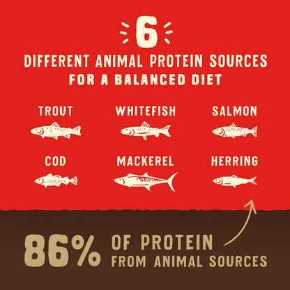 6 DIFFERENT ANIMAL PROTEIN SOURCES FOR A BALANCED DIET | TROUT | WHITEFISH | SALMON | COD | MACKEREL | HERRING | 86% OF PROTEIN FROM ANIMAL SOURCES